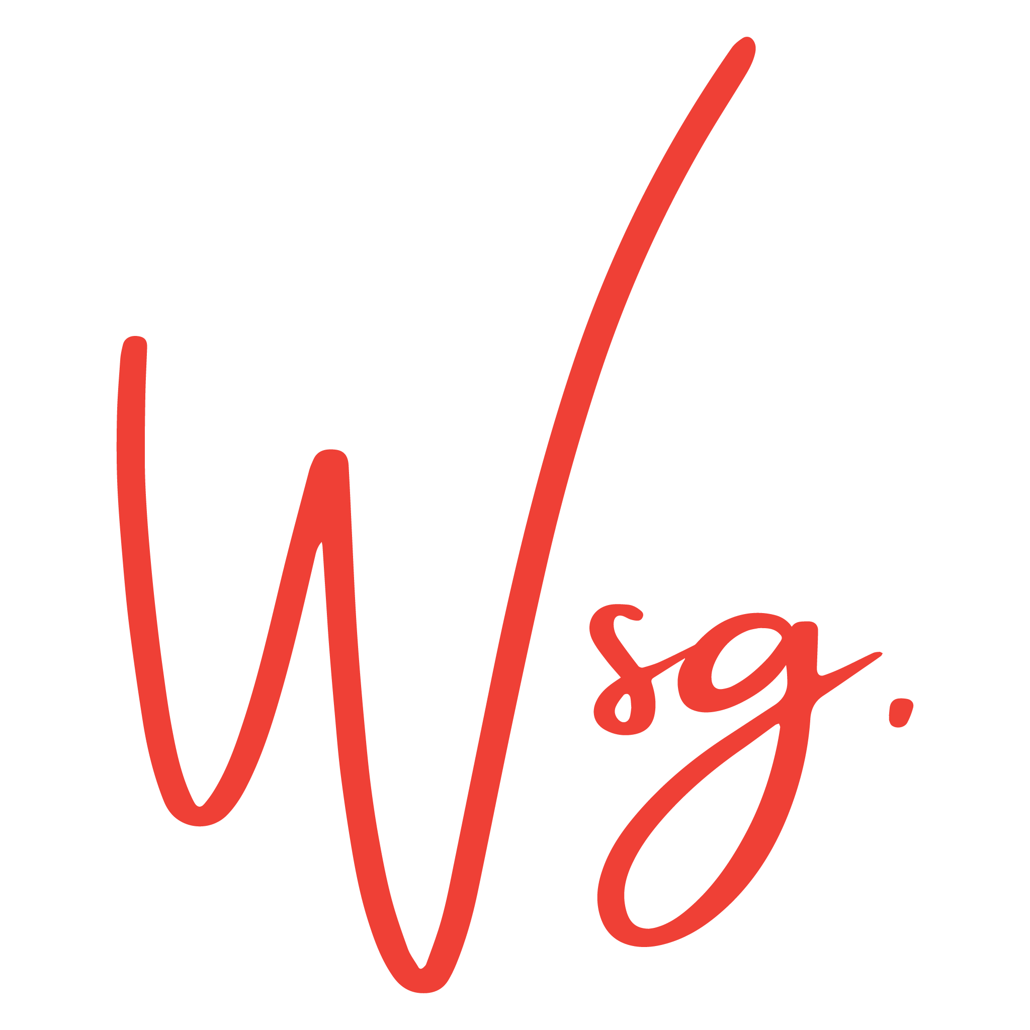 WSG Store